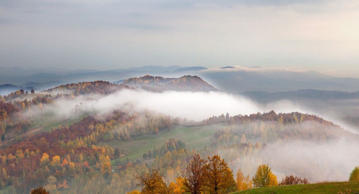 Autumn in Carpathians