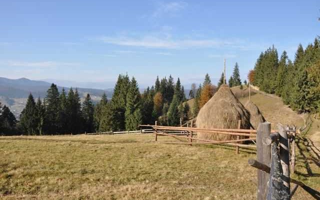 summer-bukovel