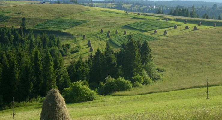 lato-karpacki